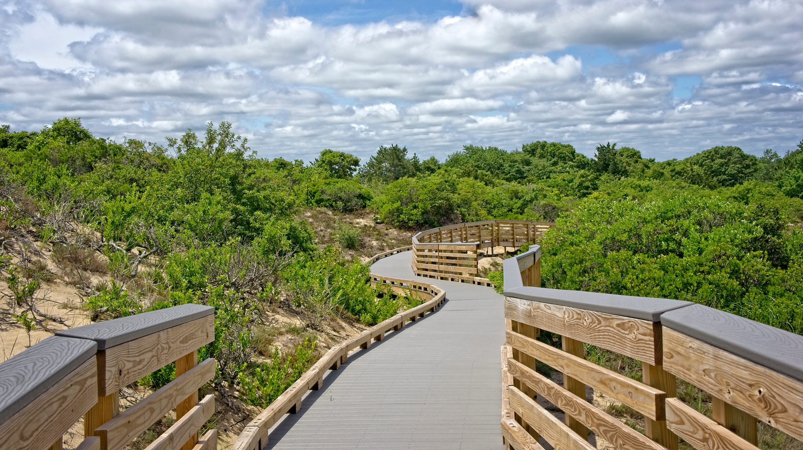 Hellcat trail on Plum Island