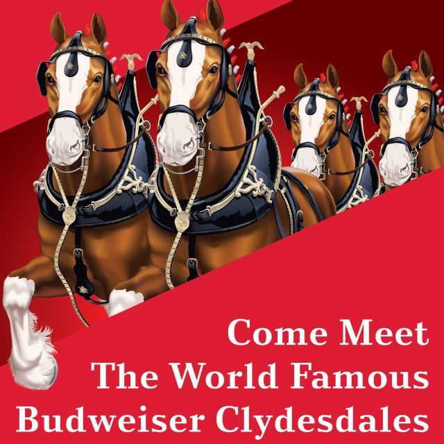 It's September 1st! Meaning it's officially apple picking and fair season! and we are VERY excited to announce that this year, the Budweiser Clydesdales will be making an appearance at the @topsfieldfair ! Stop by and see them October 5th- 8th.